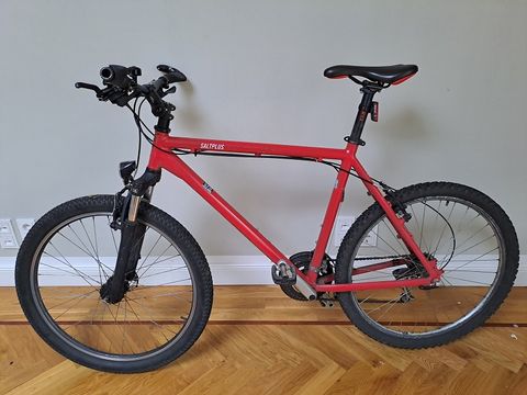 Rotes Herrenfahrrad