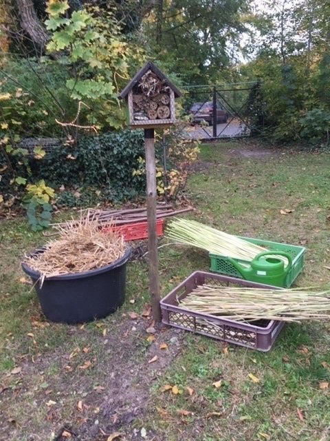 Gartenarbeitsschule „Ilse Demme“, Insektenhotel