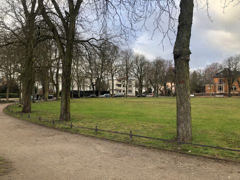 Blick über Branitzer Platz