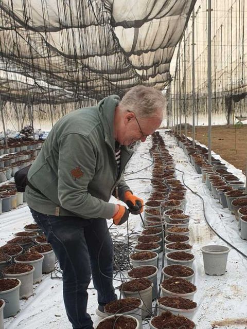 Unter künstlichem Himmel: Jan Kutscher versieht seinen Dienst auf der Ananasplantage