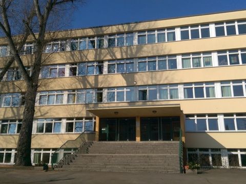 Sonnenblumen Grundschule