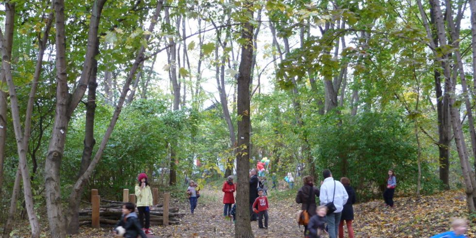 Spielende Kinder im Wald