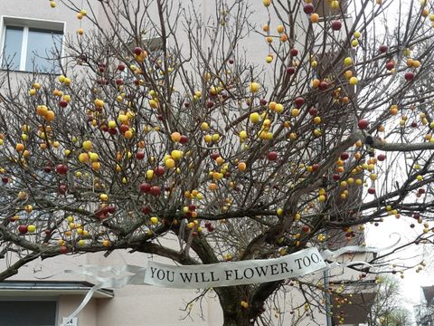 geschmückter Baum in der Nachbarschaft Wedding