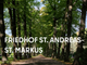 Baumgesäumte Allee auf dem Friedhof St. Andreas-St. Markus