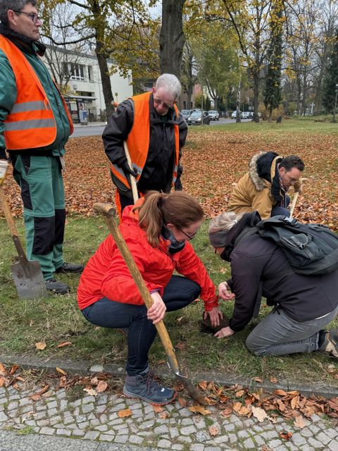 Bildvergrößerung: Gemeinsame Pflanzaktion an der Greenwichpromenade