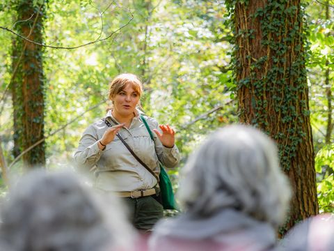 Deutsche Waldtage 2024: Wanderung im Revier Gatow