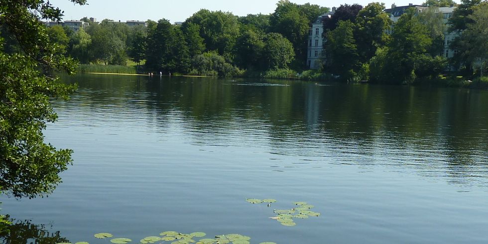 Halensee, 25.7.2012, Foto: KHMM