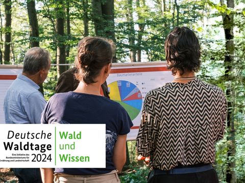 Deutsche Waldtage 2024