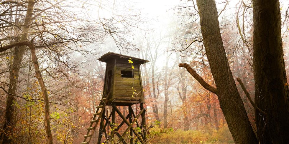 Jagdkanzel im Wald bei Sonnenaufgang