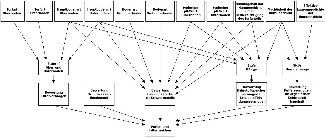 Bildvergrößerung: Abb. 1: Schema zur Bewertung der Puffer- und Filterfunktion