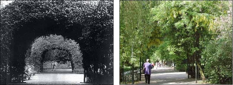 Fotovergleich historisch und heute - Die Hainbuchenbögen im Lietzenseepark sind heute anders bepflanzt