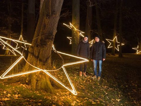 Bäume mit leuchtenden Sternen geschmückt