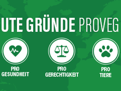 Banner mit Icons die für 5 gut Gründe proveg zu sein stehen