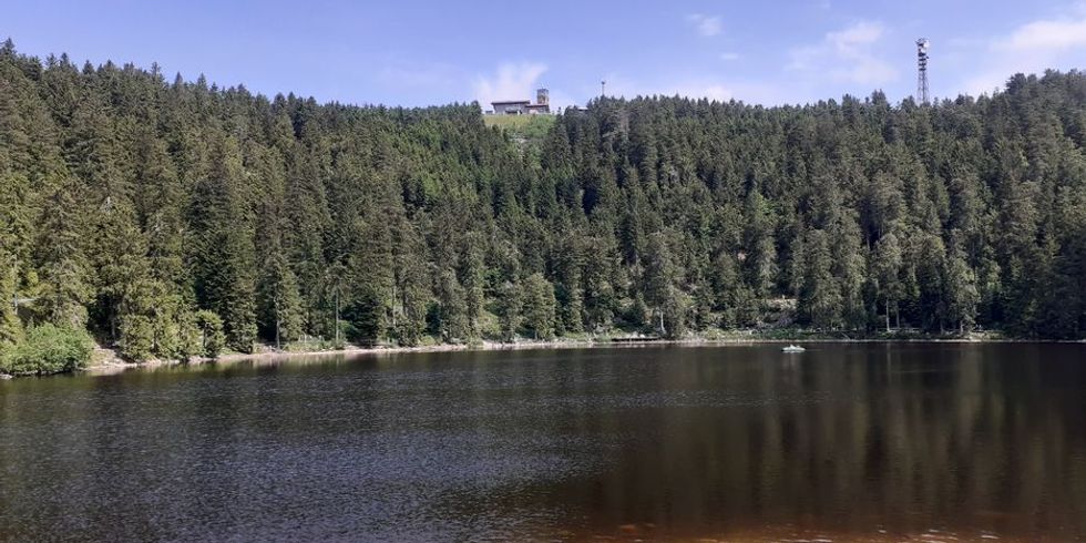 Blick auf den Mummelsee mit Bäumen umrandet