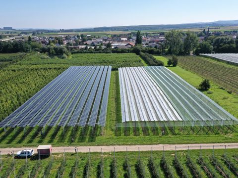 Agri-Photovoltaik Anlage über Apfelbäumen