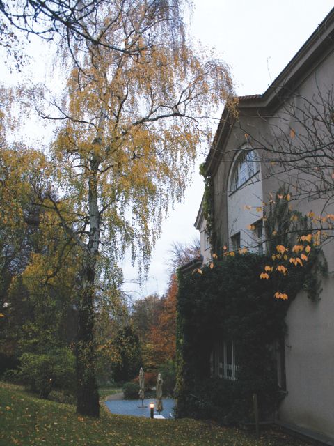 Garten Villa Linde