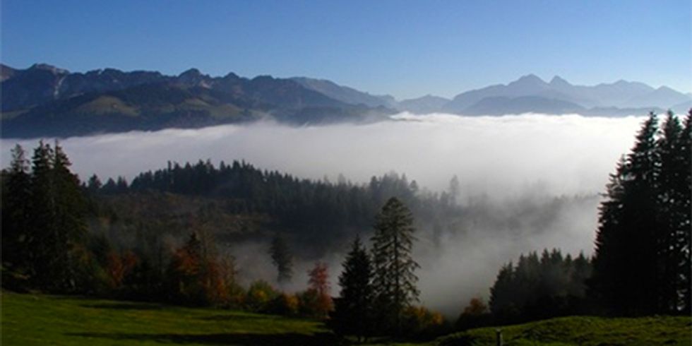 buehne_Ein Tal mit Bäumen welches vom Nebel bedeckt ist, bei morgentlichem Sonnenschein
