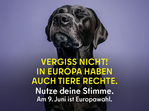 Botschaft In Europa haben auch Tiere Rechte.