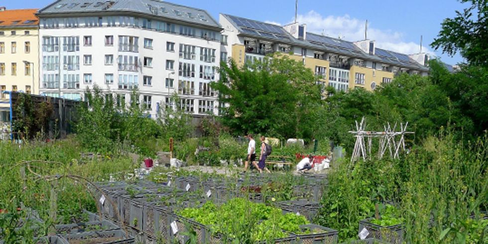 Gemeinschaftsgärten in Berlin