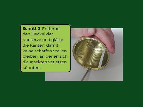 Schritt 2 : Entferneden Deckel derKonserve und glättedie Kanten, damitkeine scharfen Stellenbleiben, an denen sichdie Insekten verletzenkönnten.