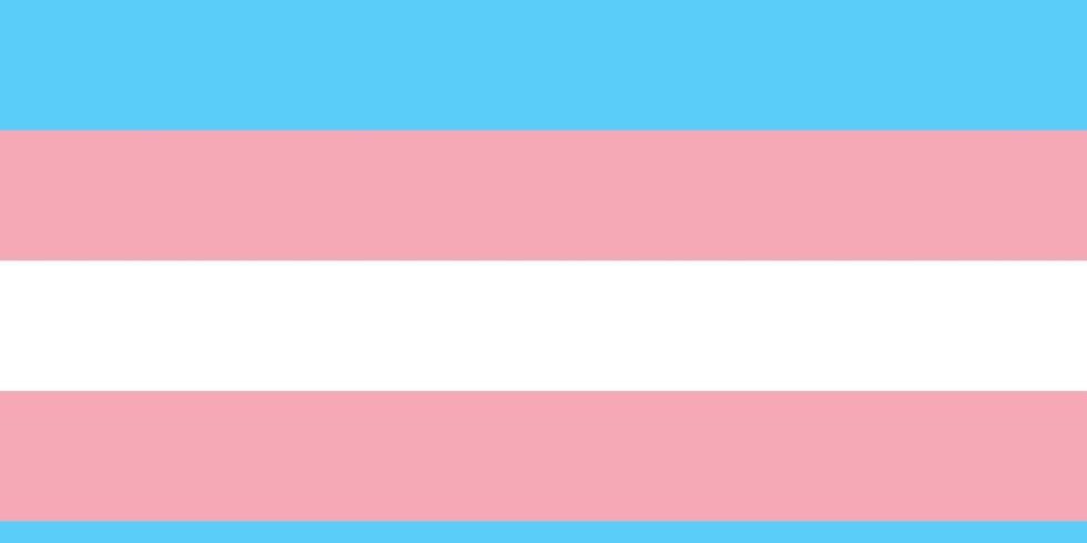 Vektorstock Flagge des Trans- oder Transgender-Stolzes in blau, rosa und weiß