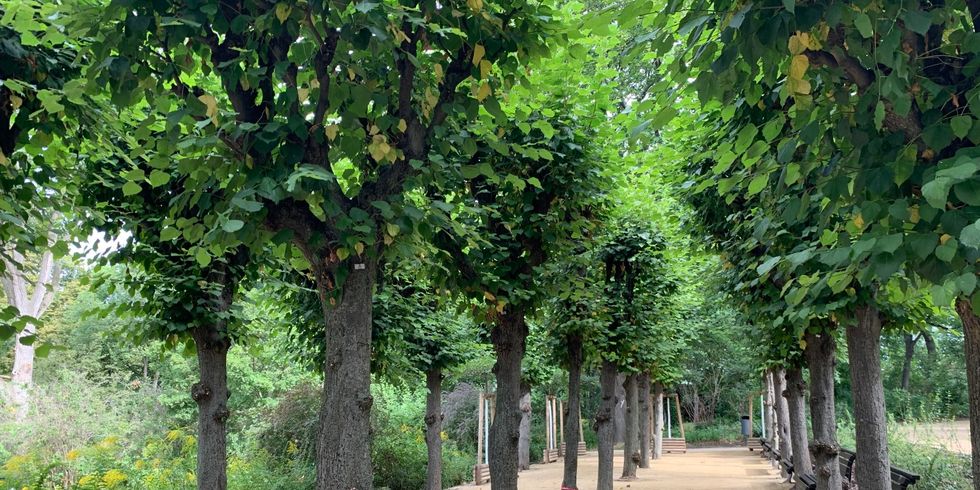 Denkmalgerechte Sanierung im Viktoriapark