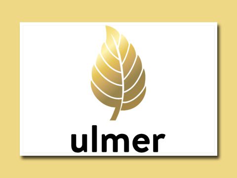 Verlagspräsentation des Ulmer Verlages