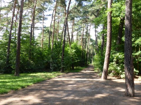 Beispielhaft für den Waldbaumsiedlungsbereich ist hier die Waldsiedlung Krumme Lanke in Zehlendorf mit angrenzenden Waldparkanlagen