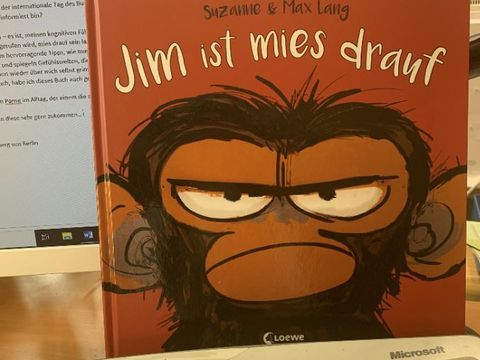 Buchcover "Jim ist mies drauf"