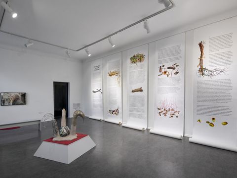 Bildvergrößerung: Ausstellung „How do we turn Salt into Sugar?“ 