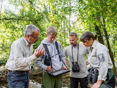 Die Berliner Forsten erheben die Daten für den Waldzustandsbericht.