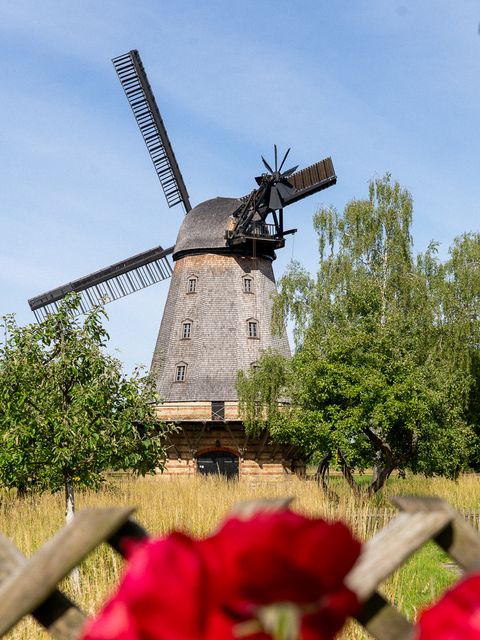 Buckower Mühle vom Zaun aus mit Rose