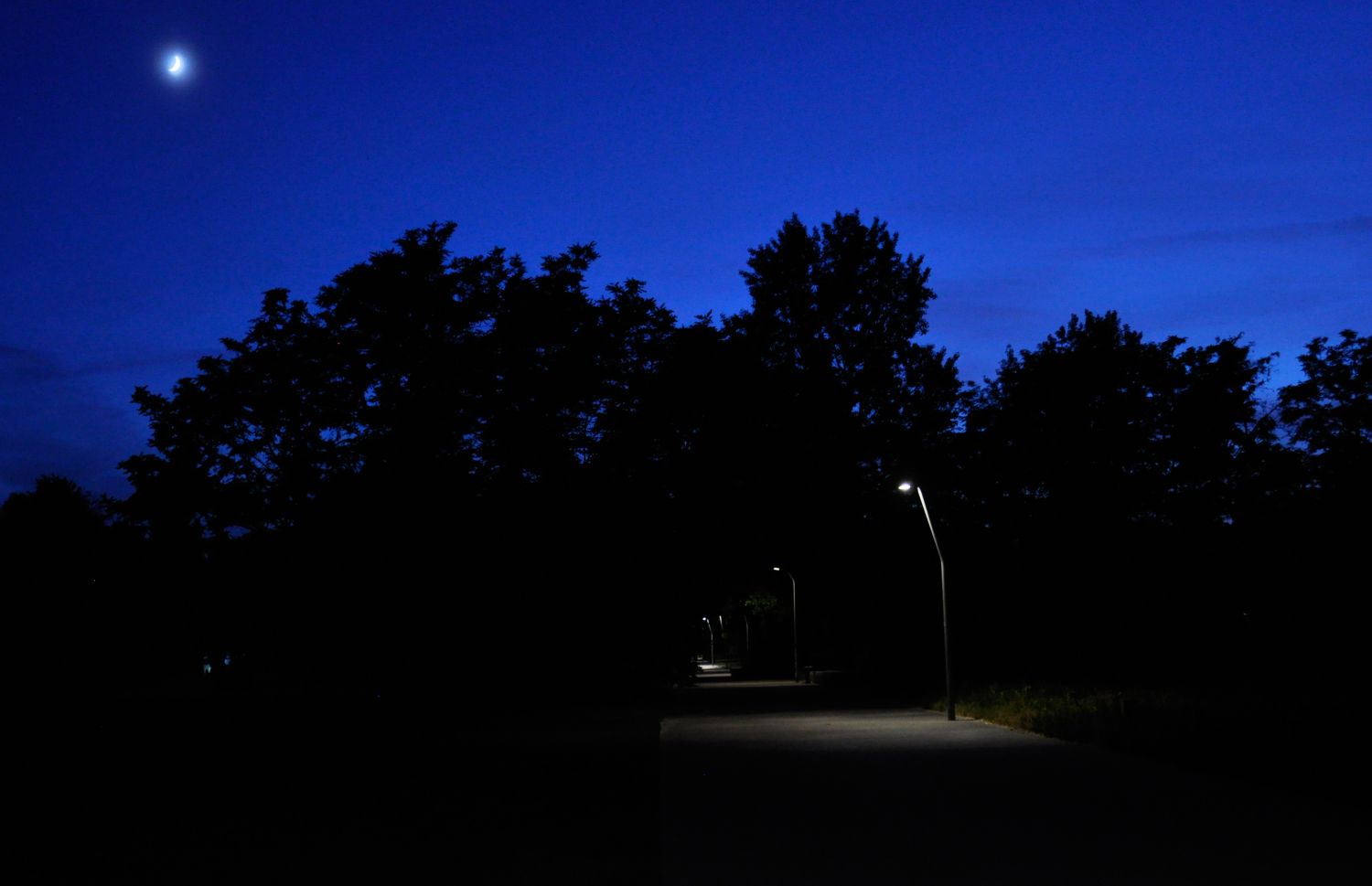 Die Aufnahme zeigt einen beleuchteten Parkweg bei Nacht. Am dunkelblauen Himmel steht klein der Mond. Vor den schwarzen Silhouetten ausladender Baumkronen erhellen Laternen punktuell den Gehweg. Ihr Licht fällt kegelförmig auf den Betonboden, in den Abständen zwischen den Laternen ist es dunkel. 