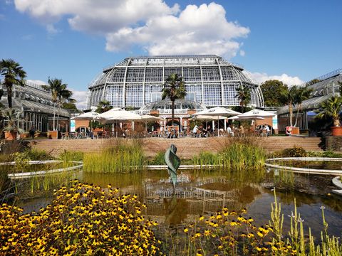 Gewächshaus Botanischer Garten