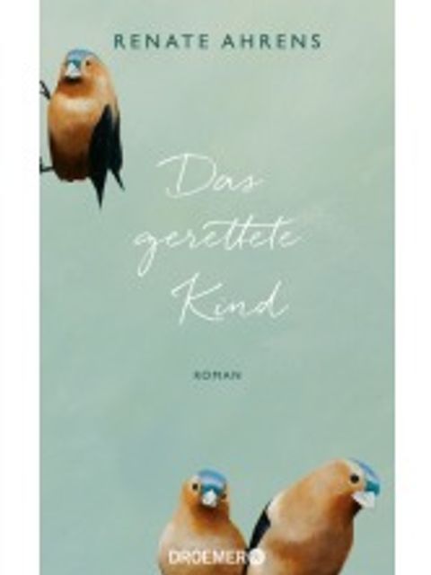 Buchcover: Das gerettete Kind von Renate Ahrens