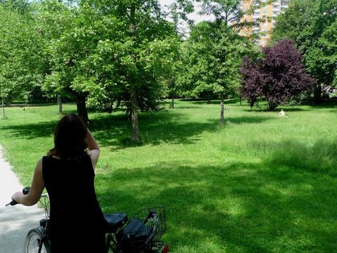 Bildvergrößerung: Stadtpark Steglitz Obstwiese