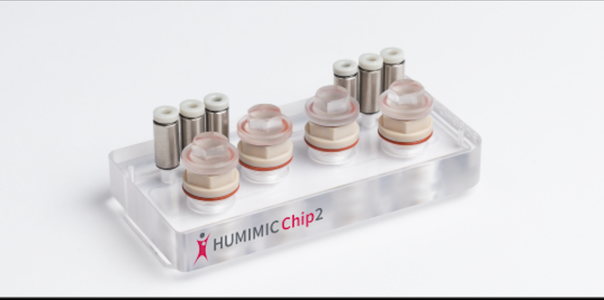 Foto eines Humimic Chip2