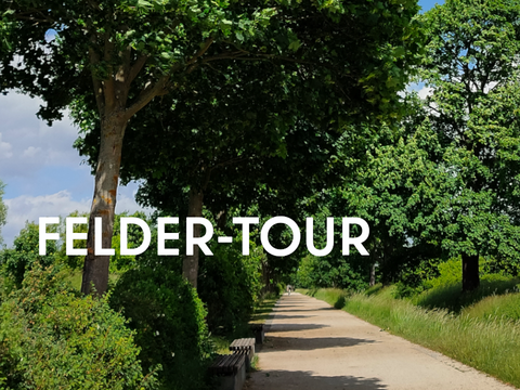 Lichtenberger Wanderungen Felder-Tour