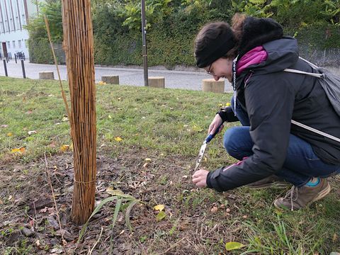 Rundgang zur Biodiversitaet im Fritz-Schloss-Park und Umgebung