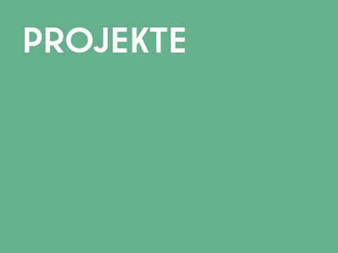 Projekte