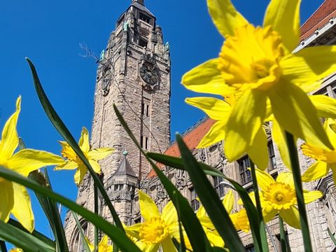 Rathaus Charlottenburg im Frühling 2021