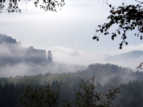 Nebelschwaden über waldbewachsene Berge