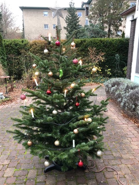 Geschmückter Weihnachtsbaum 