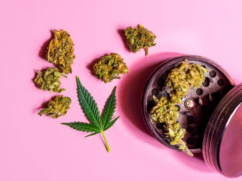 Cannabis, Marihuana Blütenknospen und Mühle auf rosa Hintergrund