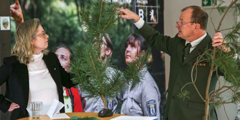 Vorstellung des Berliner Waldzustandsberichts 2024 durch Senatorin Ute Bonde und den Leiter der Berliner Forsten, Gunnar Heyne.