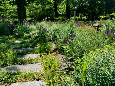 Staudenbeet auf dem Friedhof Oberschöneweide