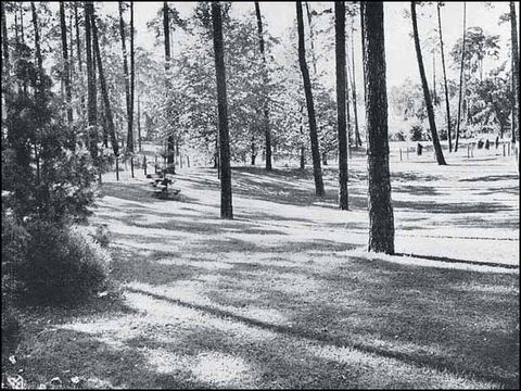 Der Heidepark mit den großen Heideflächen um 1935. (Die Gartenkunst 1935, S.9)