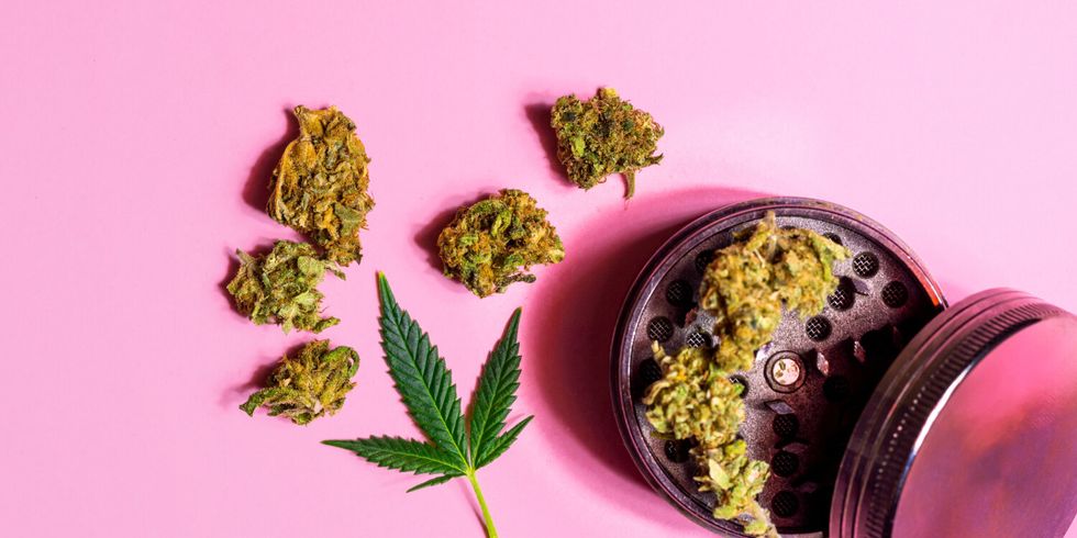 Cannabis, Marihuana Blütenknospen und Mühle auf rosa Hintergrund