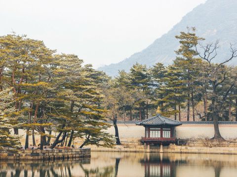 Koreanischer Teich