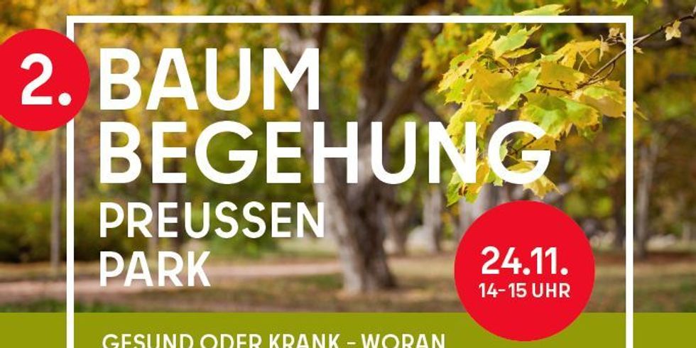 Preußenpark Baumbegehung Plakatausschnitt